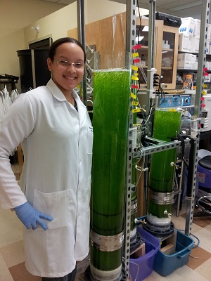 Fernanda Gonçalves Souza - Laurentian University - Microalgae Photobioreactors 3