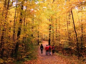 Take a Hike in Fall