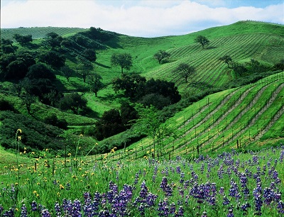 california countryside