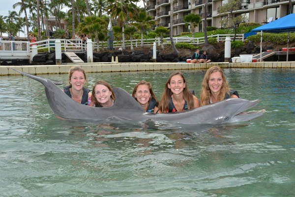 students with dolphin